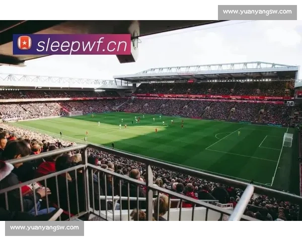 体育直播全新体验揭秘，尽享全球赛事实时更新与精彩瞬间回放